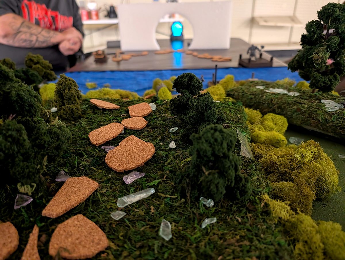 A hand built forest path